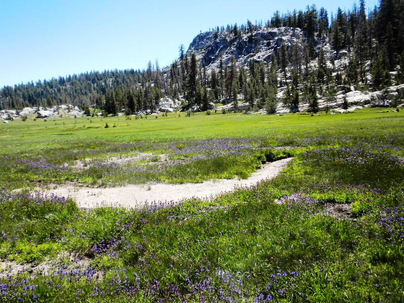 jmt72010 177.jpg